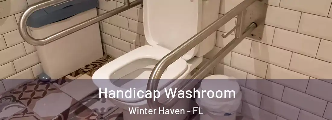 Handicap Washroom Winter Haven - FL